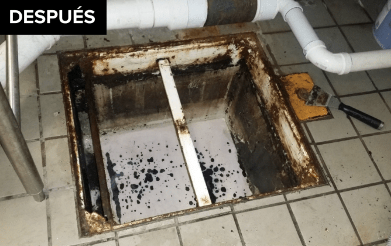 Dakes Environmental Services INC